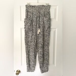 Aerie Jogger Pants 🐆